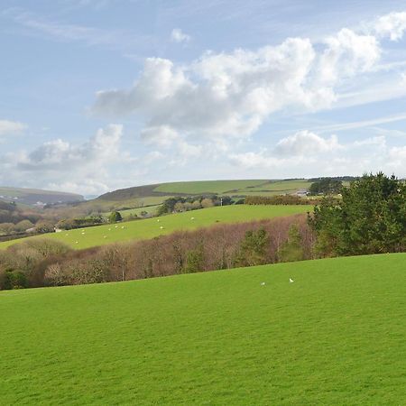 Merlin View St Mawgan Eksteriør billede