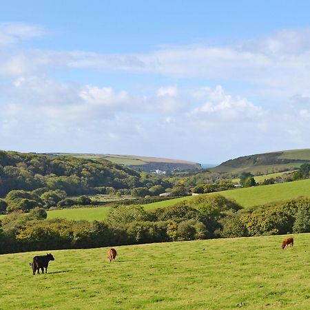 Merlin View St Mawgan Eksteriør billede