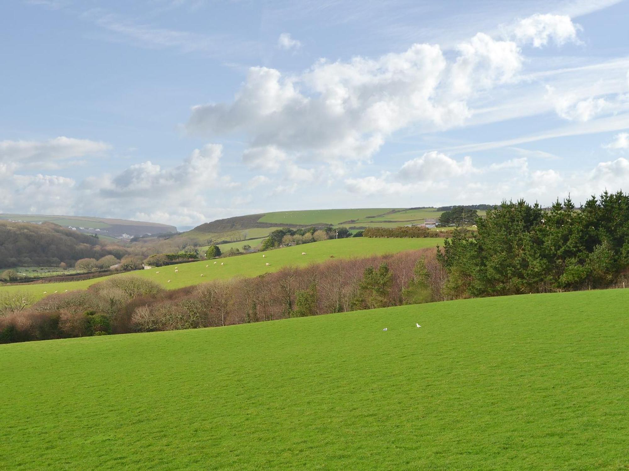 Merlin View St Mawgan Eksteriør billede